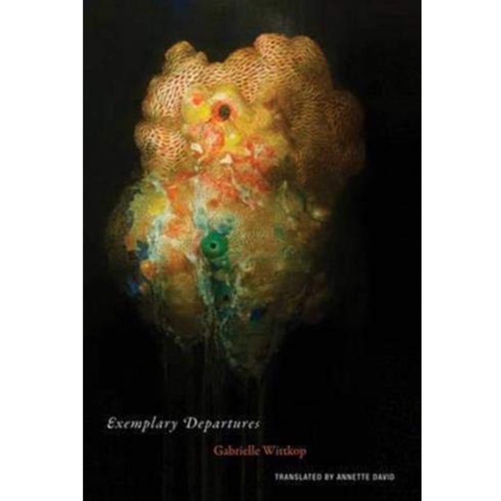 📚 BUNDLE FREE! Exemplary Departures by Gabrielle Wittkop